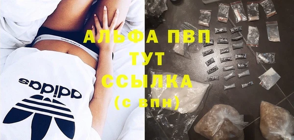 сатива Абаза