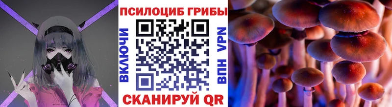 Псилоцибиновые грибы мухоморы  Великий Новгород 