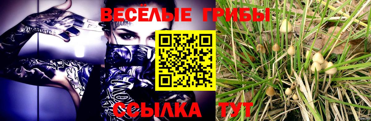 Великий Новгород  Псилоцибиновые грибы Magic Shrooms  Вход с VPN 